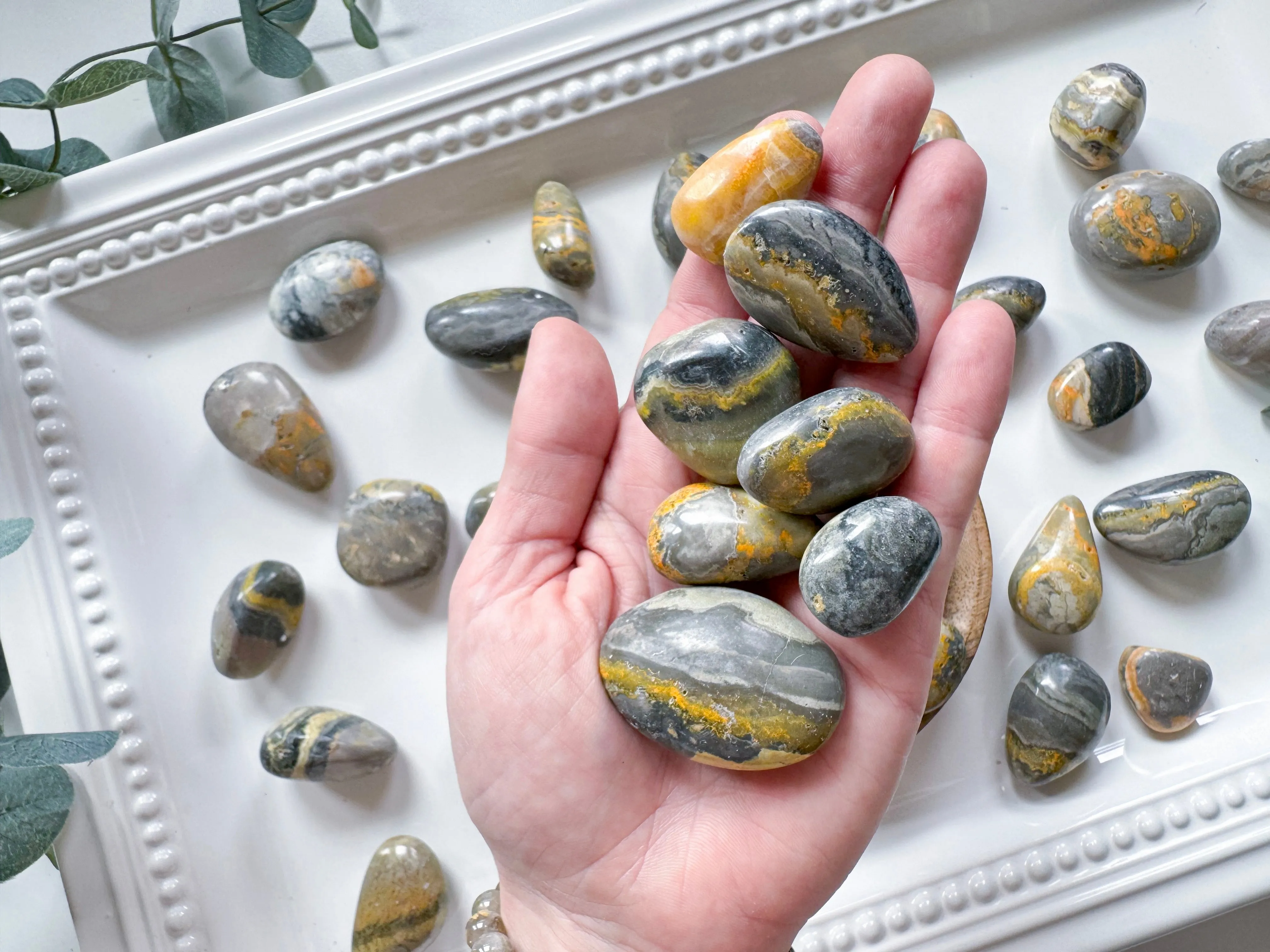 Bumblebee Jasper Tumble || Grade B