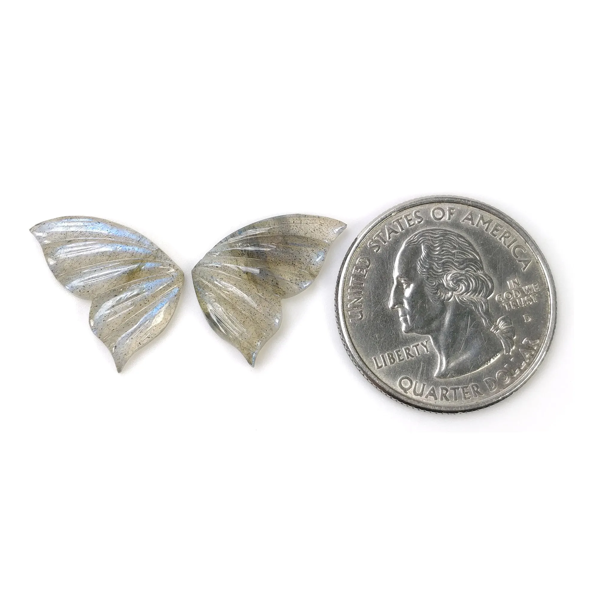 LABRADORITE Gemstone Carving : 10.00cts Natural Untreated Unheated Labradorite Gemstone Hand Carved Butterfly 28*12mm Pair (With Video)