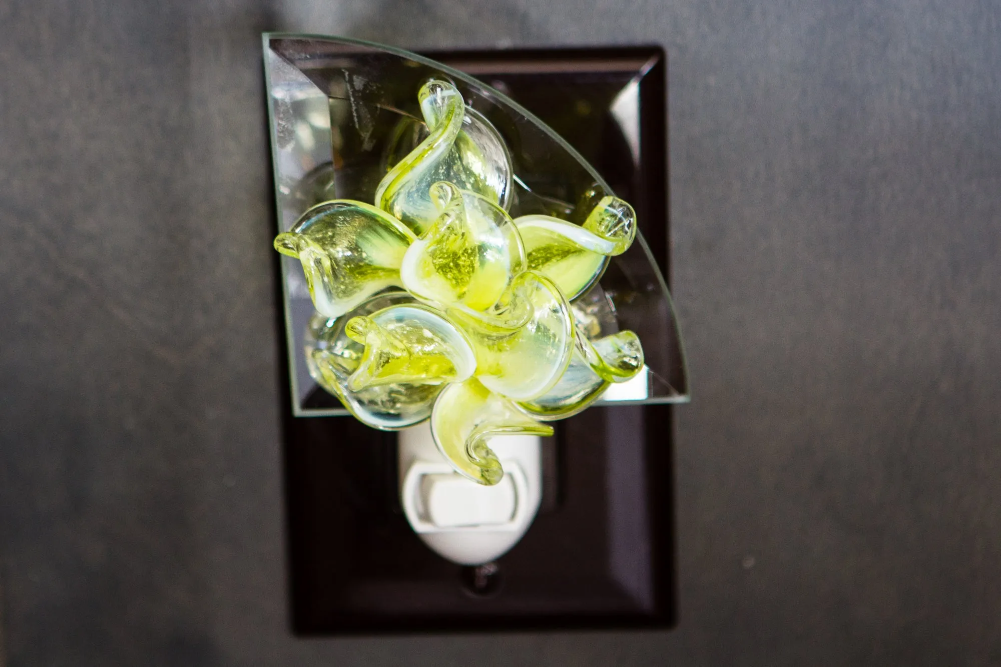 Memorial Nightlight Flower with Cremains