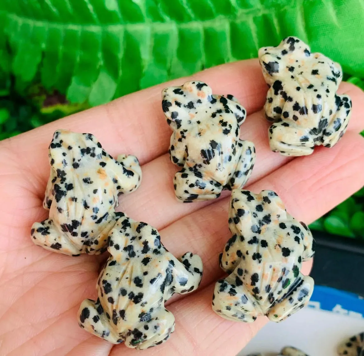 Natural Dalmatian Jasper Frog