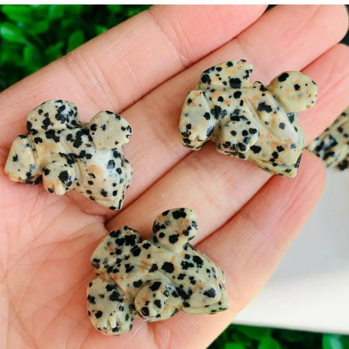 Natural Dalmatian Jasper Frog