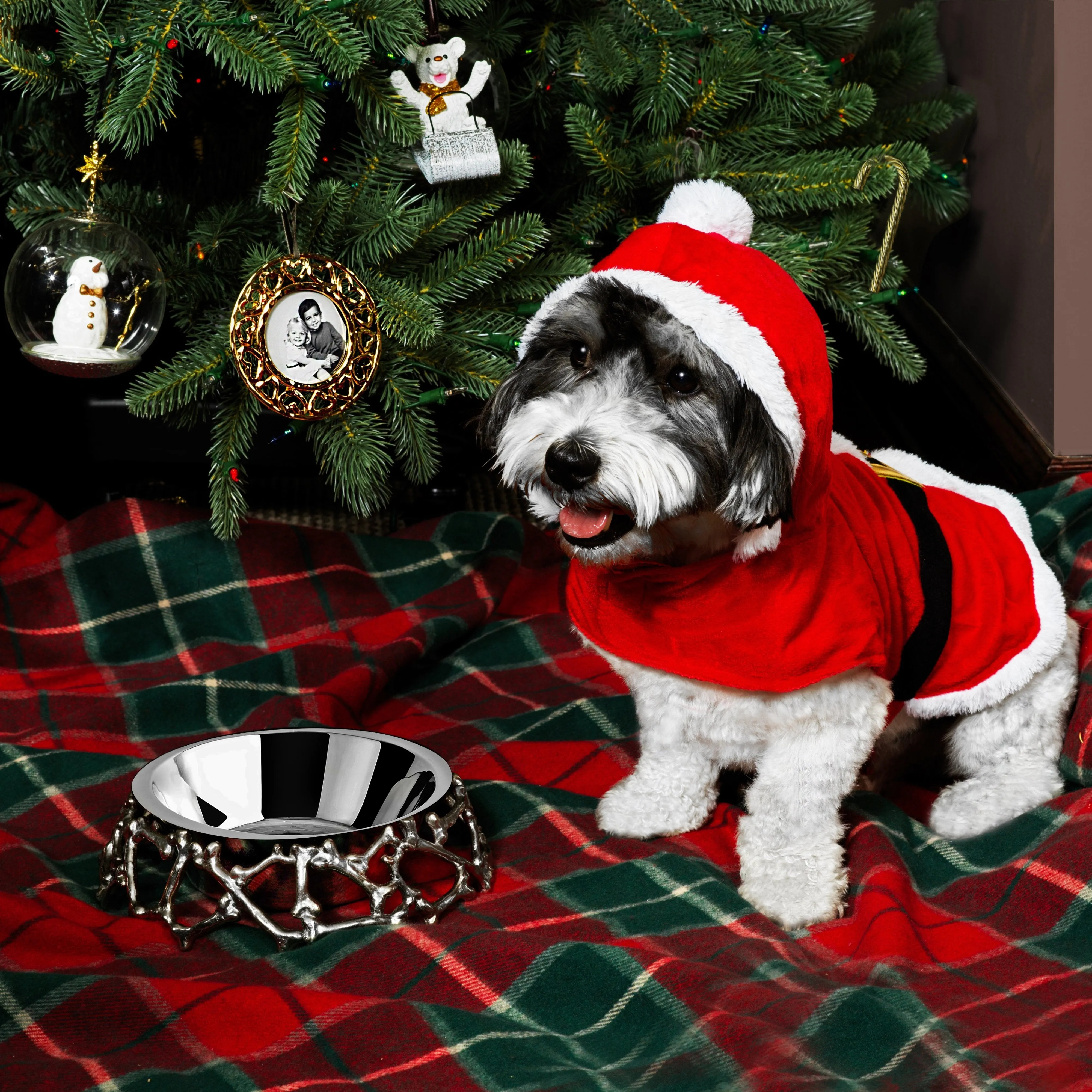 Sledding Teddy Ornament