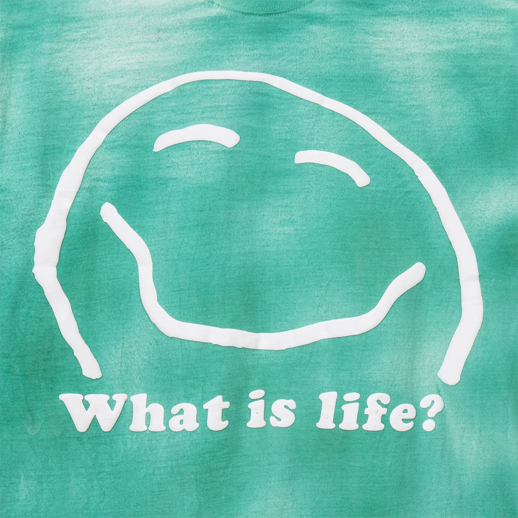 WHAT IS LIFE TEE  (MOSS DYE)