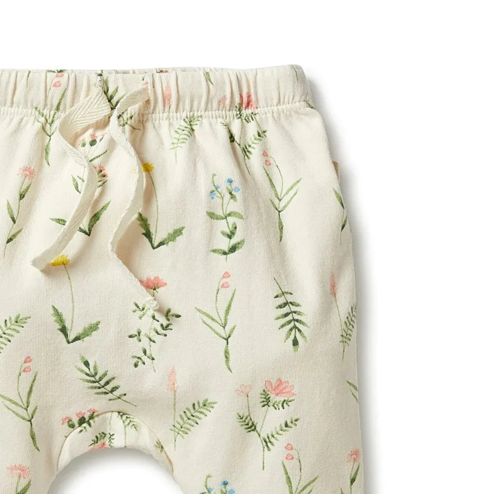 Wilson & Frenchy | Wild Flower organic cotton legging