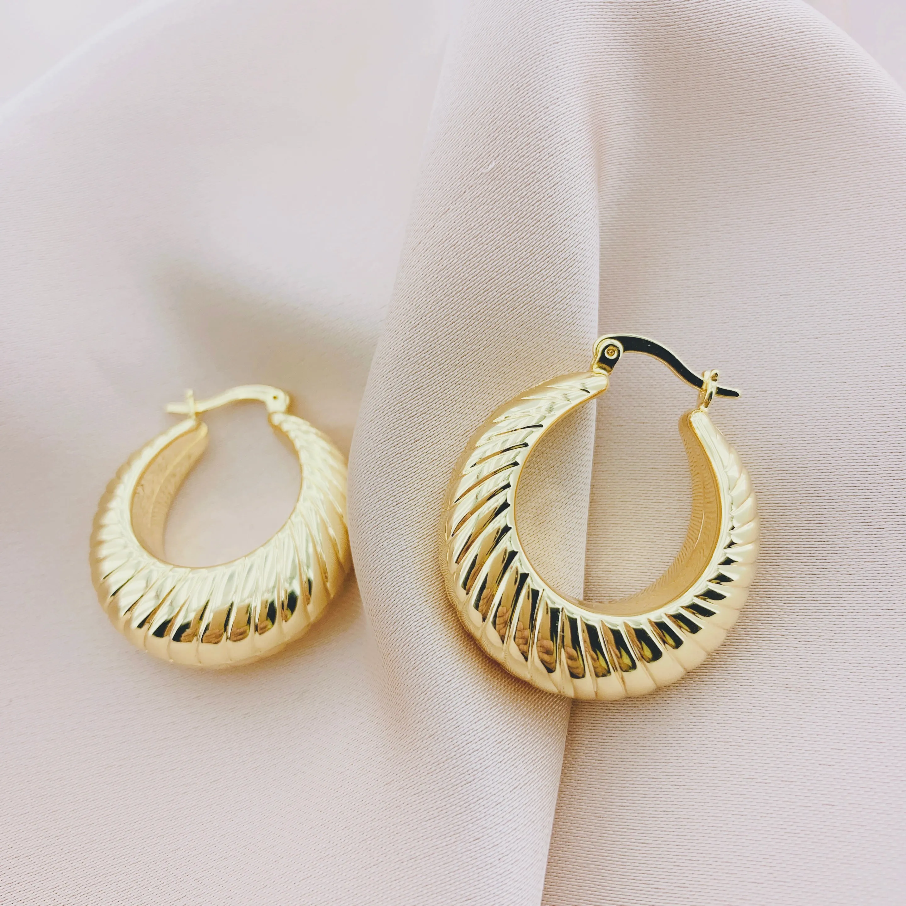 Women's Fashion Hoop Earring